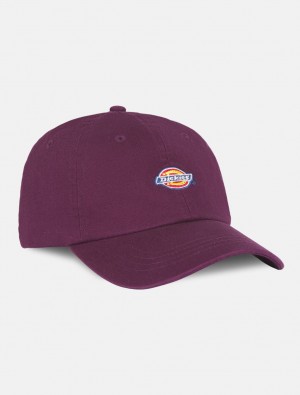 Boné Dickies Hardwick Baseball Feminino Roxo | 409013872