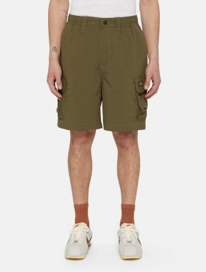 Calção Dickies Jackson Cargo Masculino Verde Oliva | 814009373