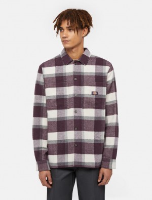 Camisas Dickies Coaling Masculino Roxo | 650067408