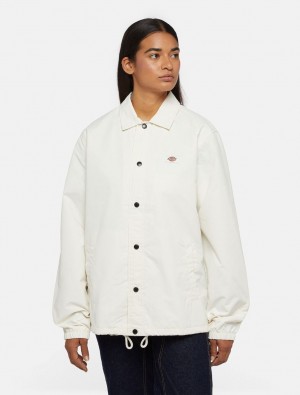Casacos Dickies Oakport Coach Feminino Branco | 95242230